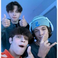 sturniolo.triplets885