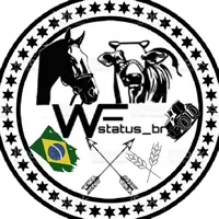 original sound - wf_status_br