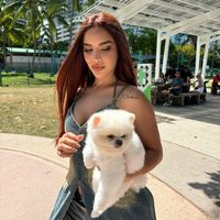 kimtupatrona260