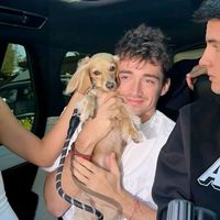 charlesleclerc..fan