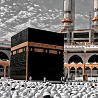786ahmadtaga
