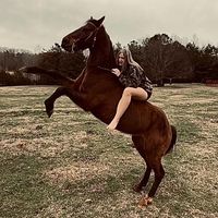 horse..trainer