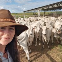 anaflaviabarbosamenezes