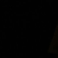 biokyanusunortasinda