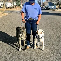 original sound - arlo_outlaw55