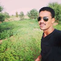 الصوت الأصلي