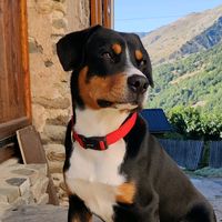 rioboubousuisse