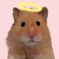 hammytheodore