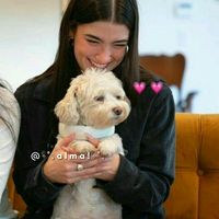 .cokiesxdommi