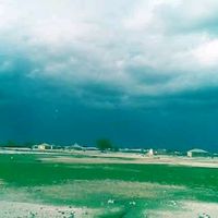 saidduale1