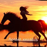 horses.xeastics