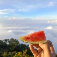 suara asli - awowkwkwk