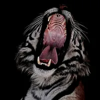 original sound - bombby.wav