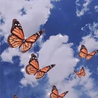 original sound - ____cantasintrabarte__pi