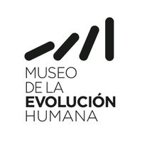 museoevolucionhumana