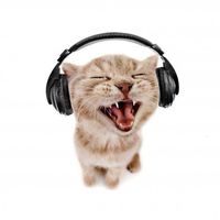 original sound