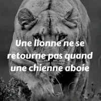 original sound - nassalkheir