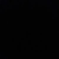 Звук шавели