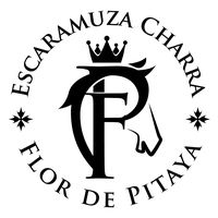 escaramuzacharra01