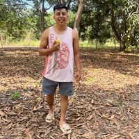 .el_pollito