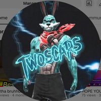 twoscarsgaming