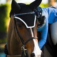 horsesforlife3232