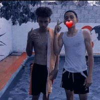 cbum_cri