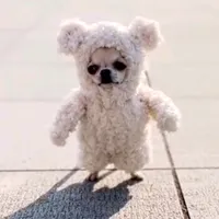 original sound - haimxhaim