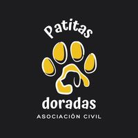 patitasdoradas.ac