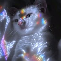 оригінальний звук