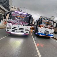 escuderiafelinyer