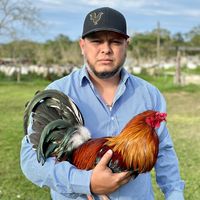 juangreerjr