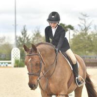 lindsay.eq