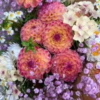 original sound - cutecapcuttemplates