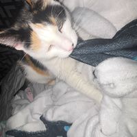 im_in_love_with_my_gf15