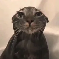 original sound - e..m.a22