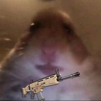 quelchthinqs.caitlinxab1