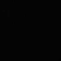 something in the orange