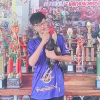 chivatan.hu