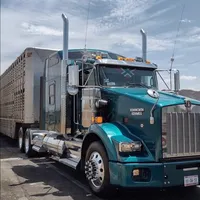 original sound - gilbertohz