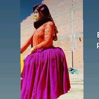 lizeth.m.colque