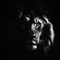 lionheartedlegion