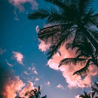 van.alles.acc_forever