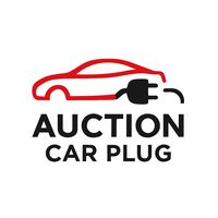 auctioncarplug