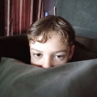 ibsondanielviei61