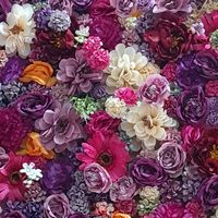 shan_toor7