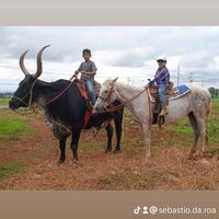 sebastio.da.roa