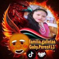 gabyperez1195