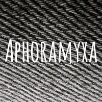 aphoramyxa