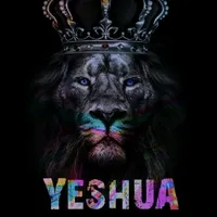 original sound - elevivee_oficial